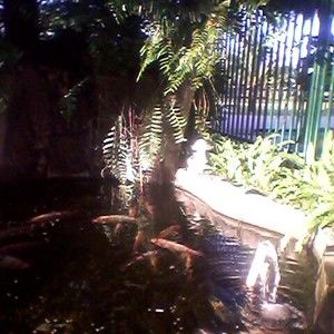 Meet your Posher, Martha callado